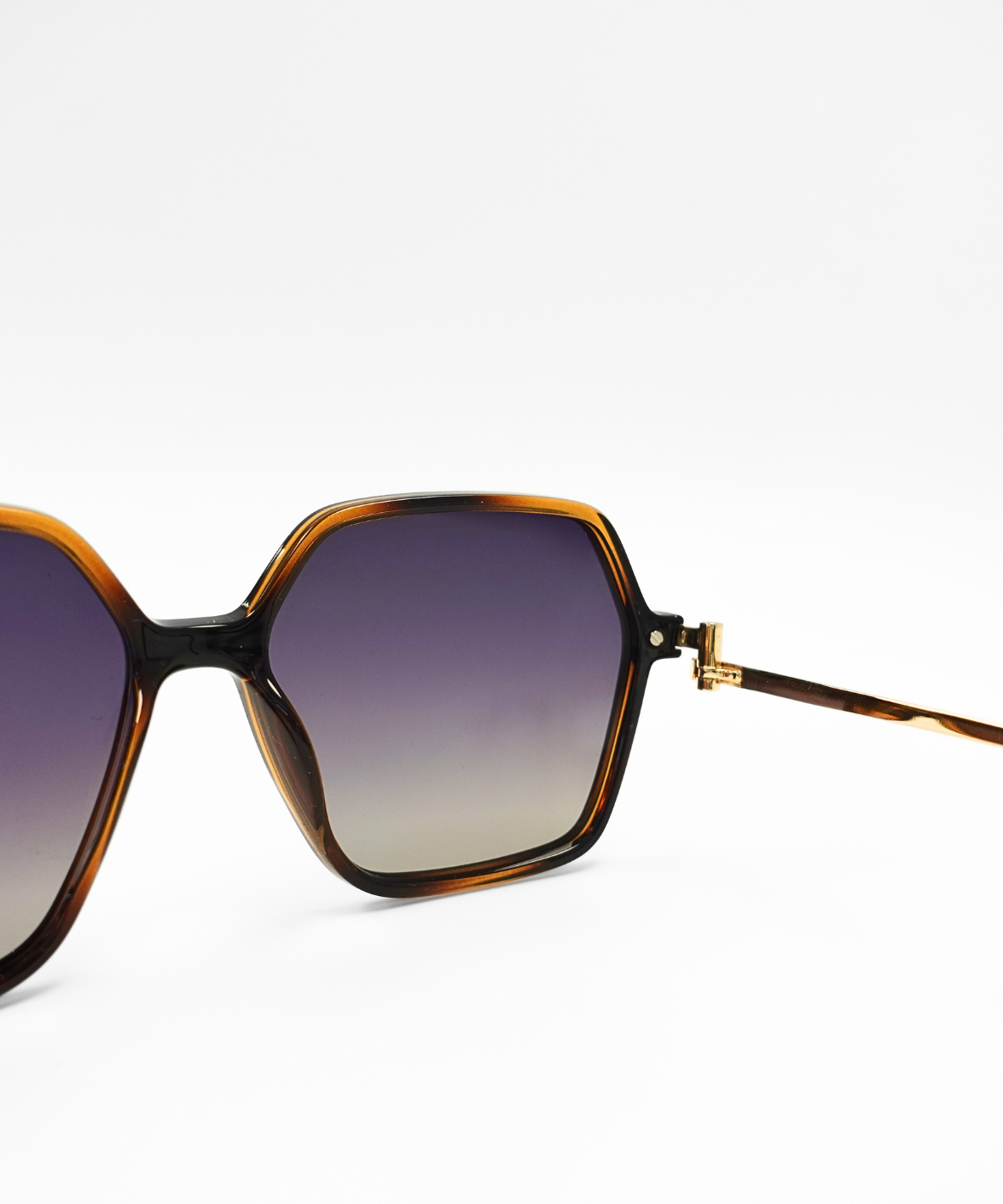 Despada DS2288 Sunglasses | Jei & Co. Optics