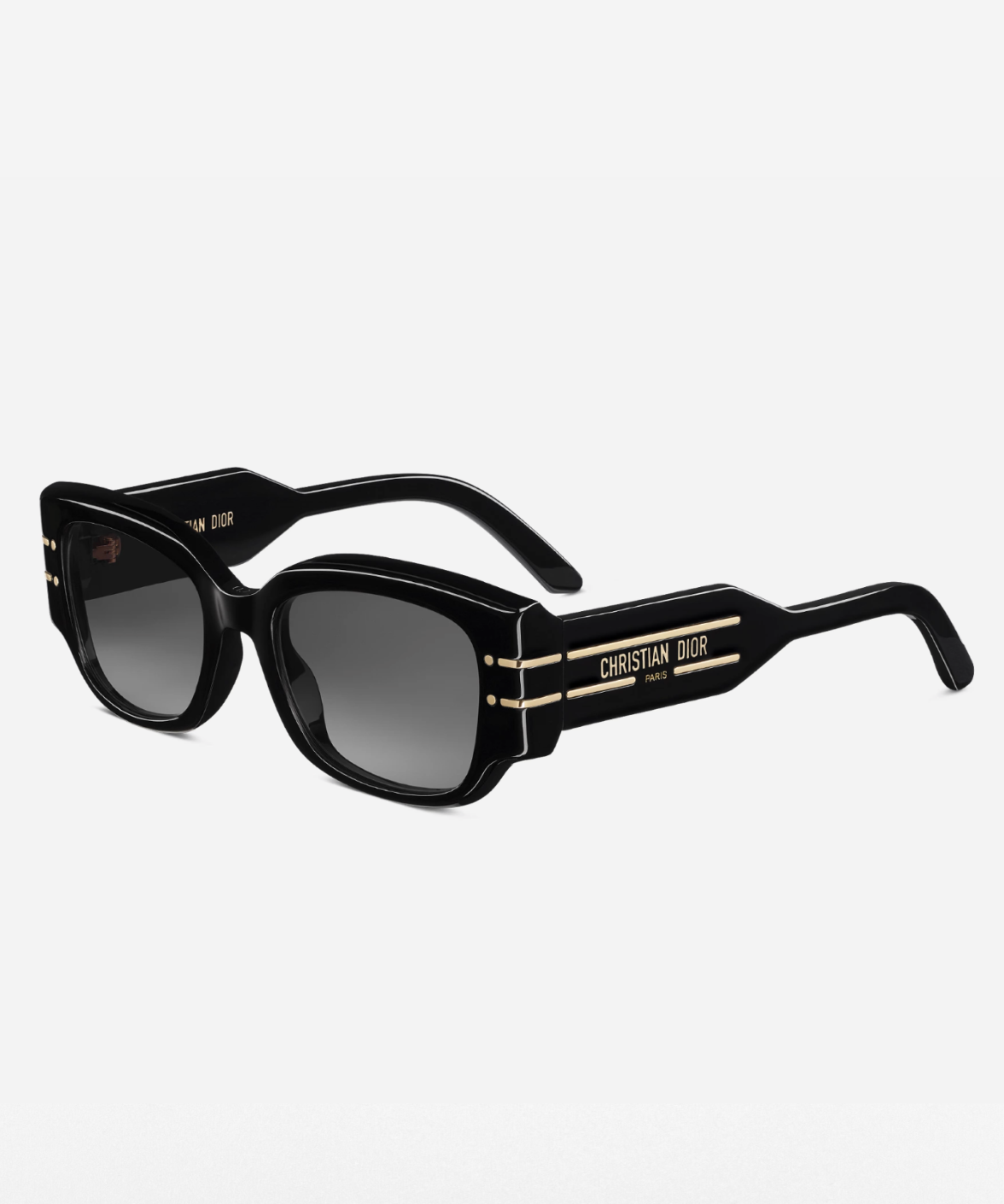 DiorSignature S13I - Dior Acetate Butterfly Sunglasses | Jei & Co. Optics
