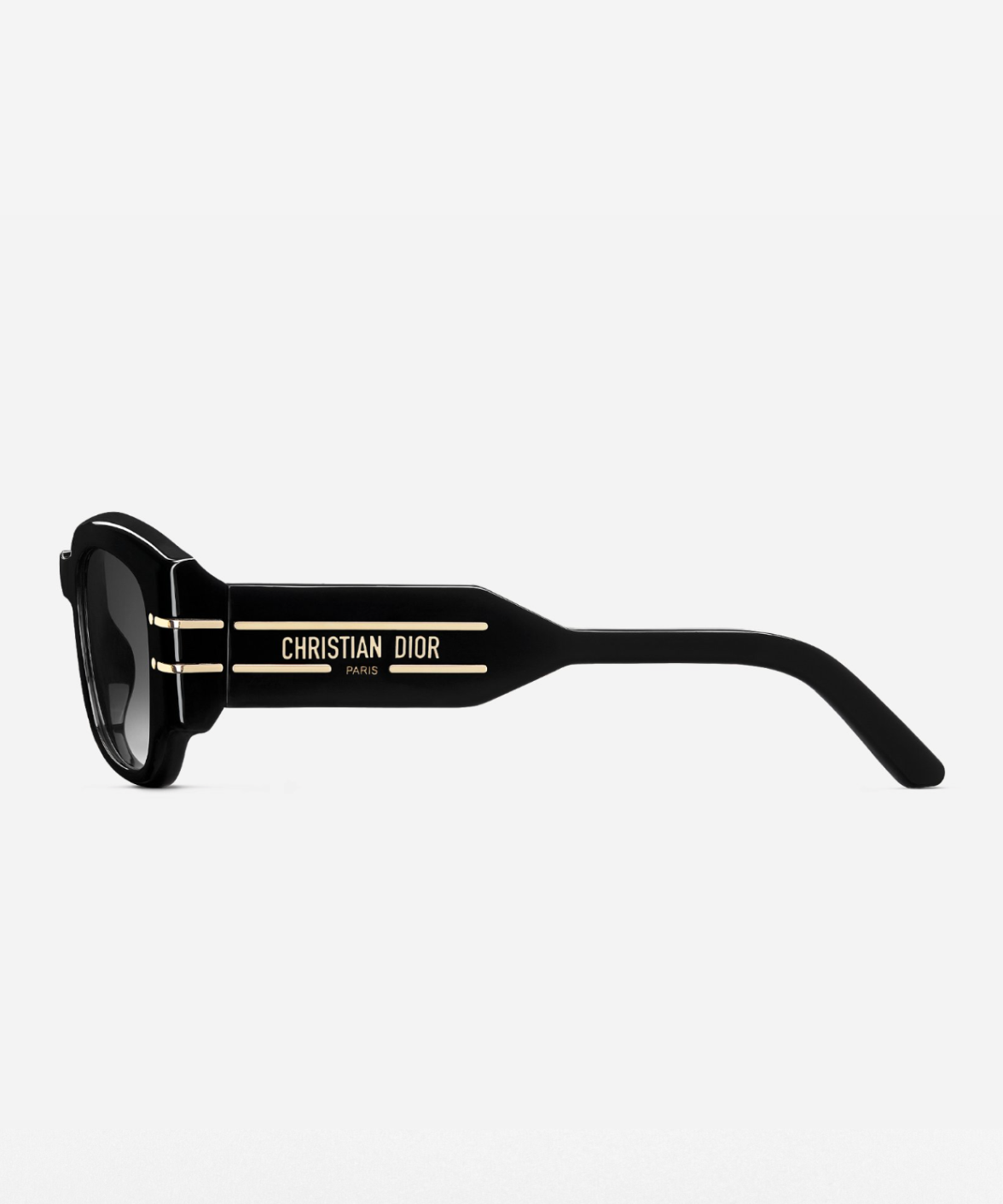 DiorSignature S13I - Dior Acetate Butterfly Sunglasses | Jei & Co. Optics