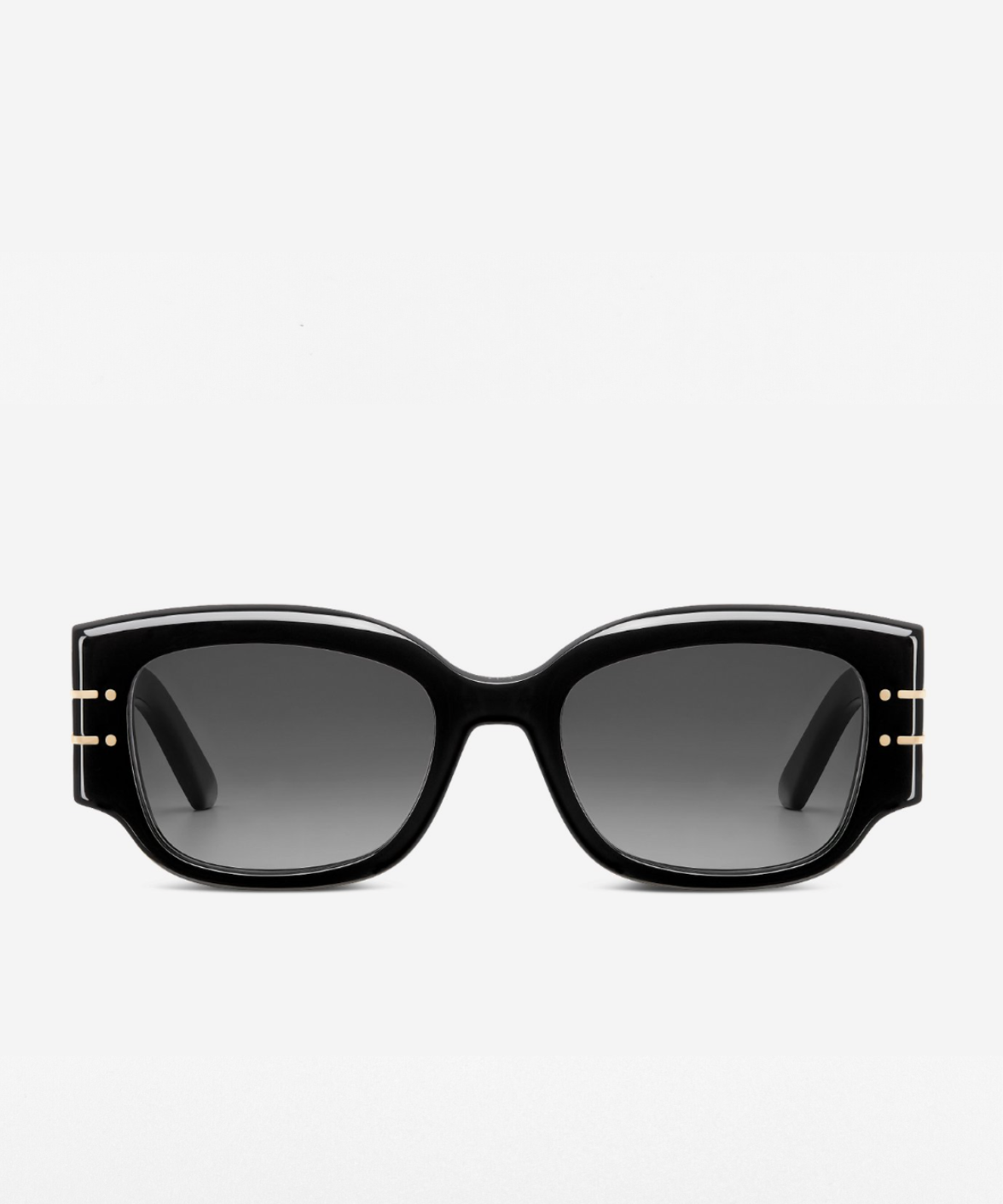 DiorSignature S13I - Dior Acetate Butterfly Sunglasses | Jei & Co. Optics