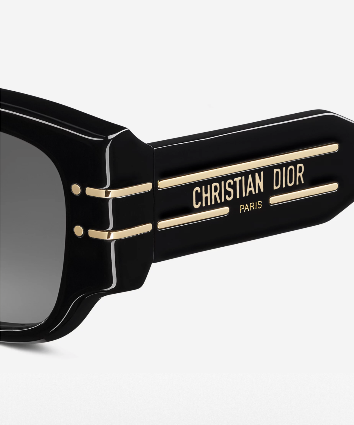 DiorSignature S13I - Dior Acetate Butterfly Sunglasses | Jei & Co. Optics