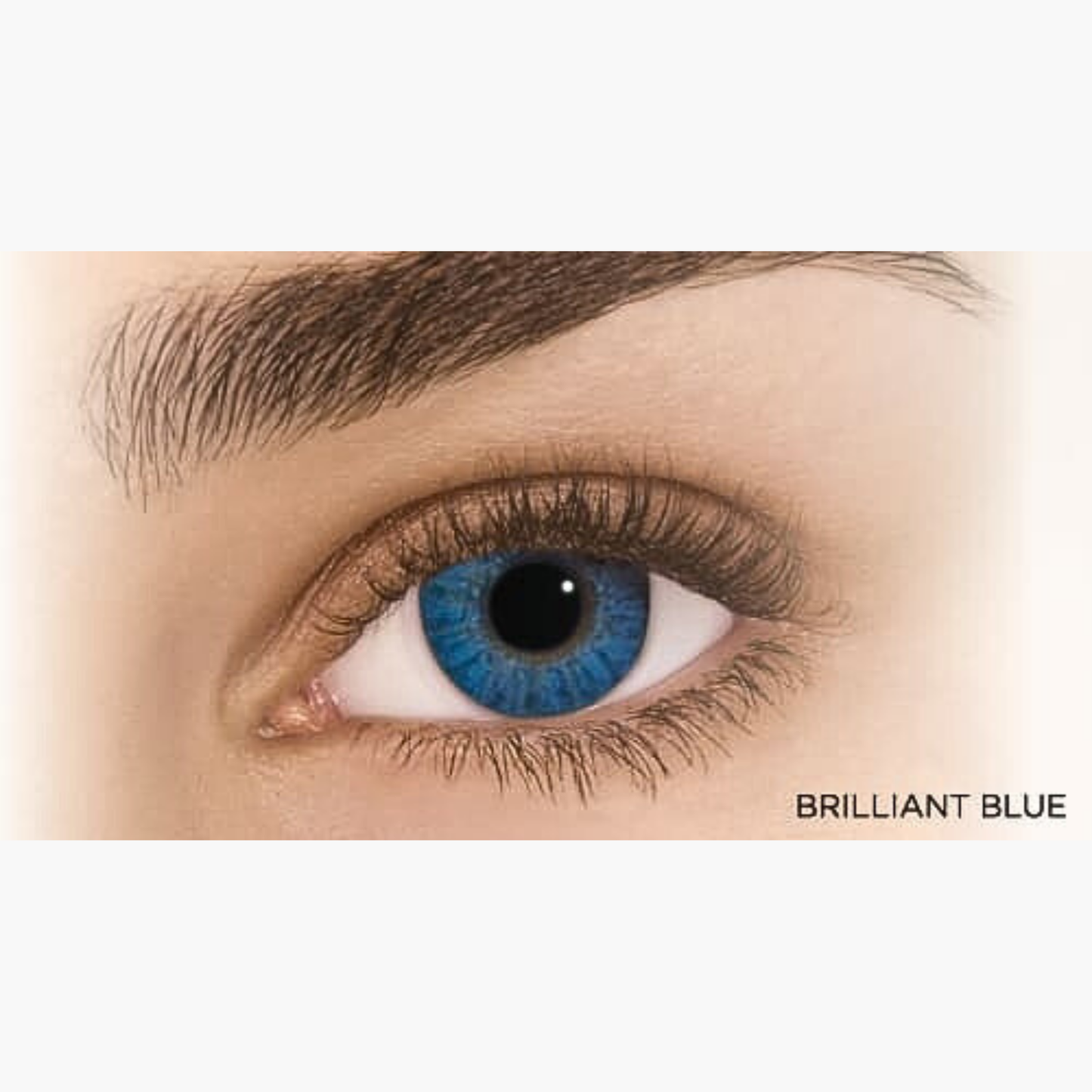 AIR OPTIX COLORS (2/6-Pack)