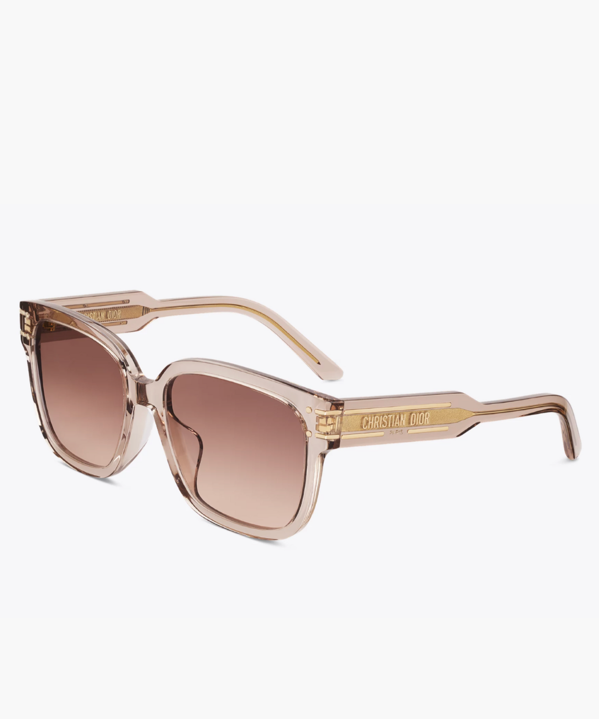Dior Signature S7F Square Acetate Sunglasses (Women