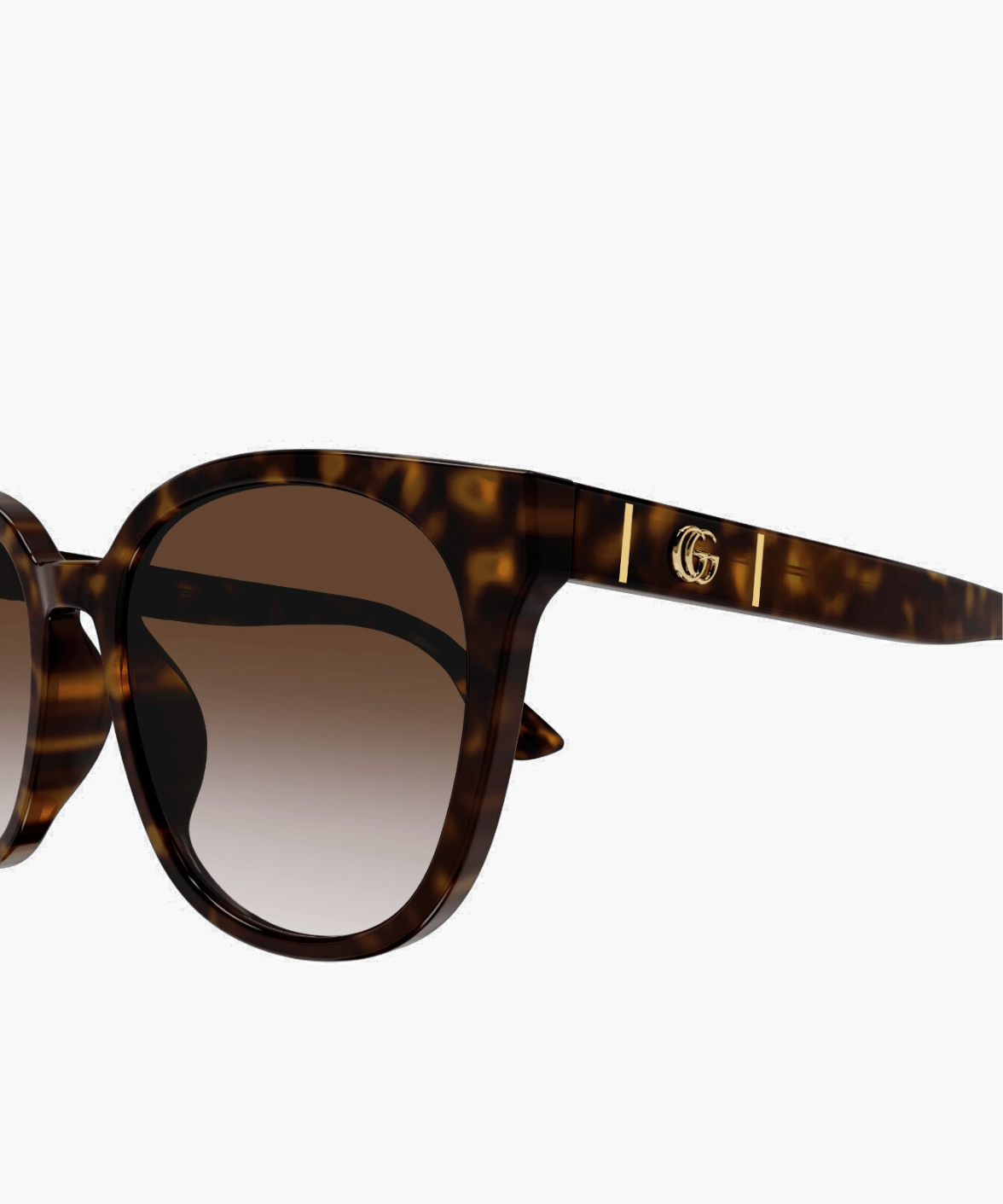 Gucci GG1122SA Sunglasses Tortoise | Jei & Co. Optics