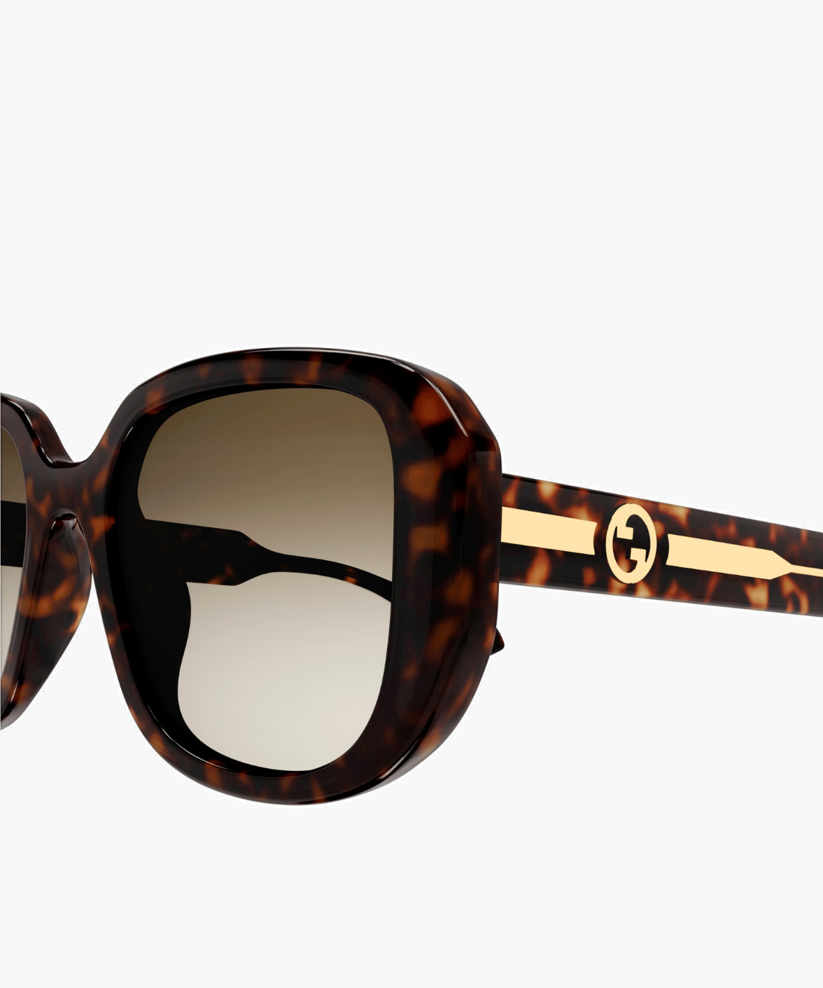 Gucci GG1557SK Sunglasses Tortoise | Jei & Co. Optics